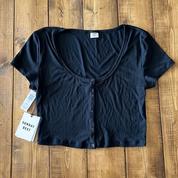 Sunday Best Holly Crop - Picture 1 of 3